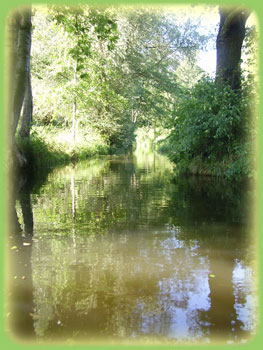 Eines der sehr vielen Flie�en im Spreewald