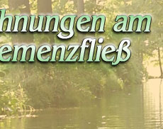 Ferienwohnungen am Schiemenzflie