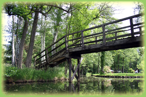 Naturflie Spreewald