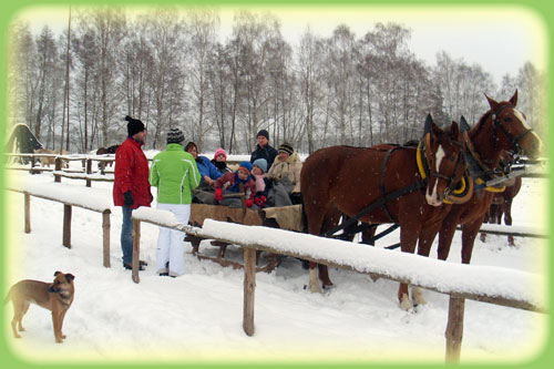 Schlittenfahrt im Winter